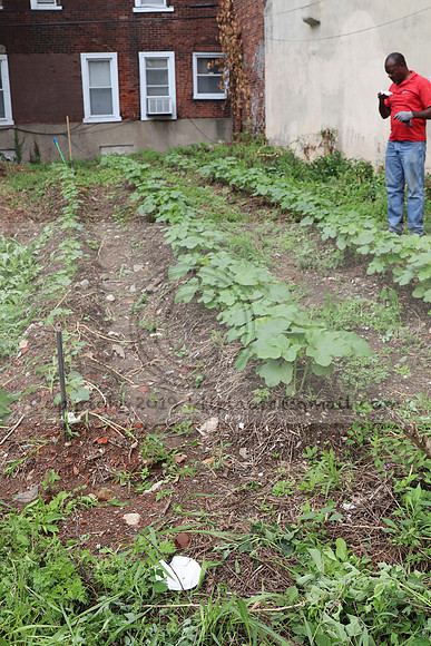 IMG_4360.1226 Community Garden  2b August 8, 2020 @KTIP Laura Elam