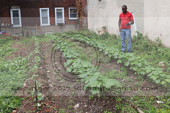 IMG_4358.1226 Community Garden  2b August 8, 2020 @KTIP Laura Elam