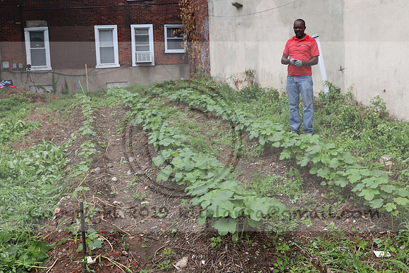 IMG_4357.1226 Community Garden  2b August 8, 2020 @KTIP Laura Elam