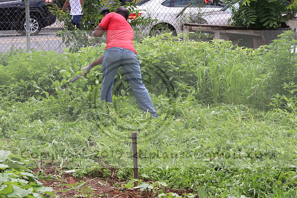 IMG_4337.1226 Community Garden  2b August 8, 2020 @KTIP Laura Elam