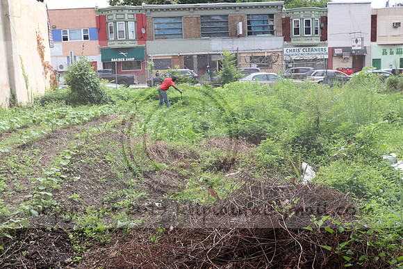 IMG_4329.1226 Community Garden  2b August 8, 2020 @KTIP Laura Elam