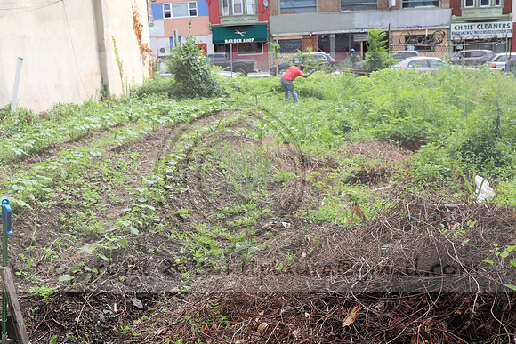 IMG_4330.1226 Community Garden  2b August 8, 2020 @KTIP Laura Elam