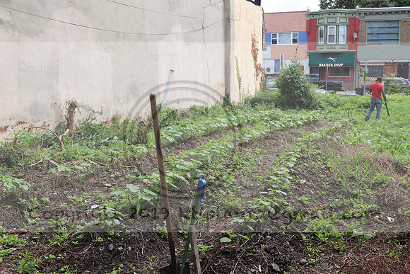 IMG_4326.1226 Community Garden  2b August 8, 2020 @KTIP Laura Elam