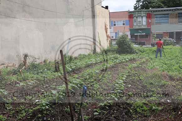 IMG_4325.1226 Community Garden  2b August 8, 2020 @KTIP Laura Elam