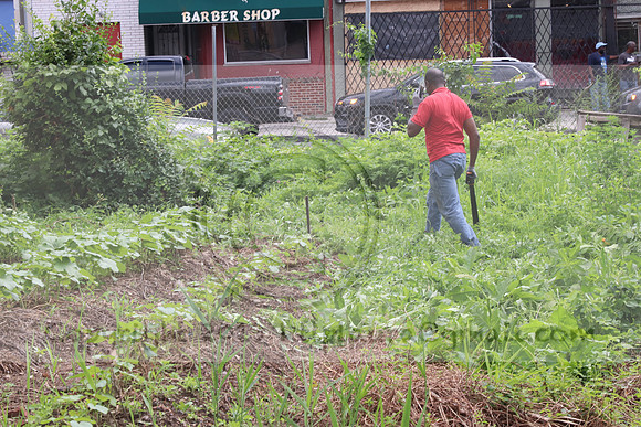 IMG_4324.1226 Community Garden  2b August 8, 2020 @KTIP Laura Elam