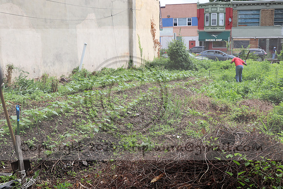 IMG_4320.1226 Community Garden  2b August 8, 2020 @KTIP Laura Elam