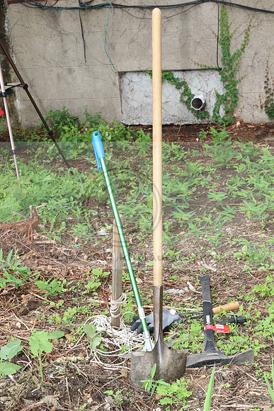 IMG_4317.1226 Community Garden  2b August 8, 2020 @KTIP Laura Elam