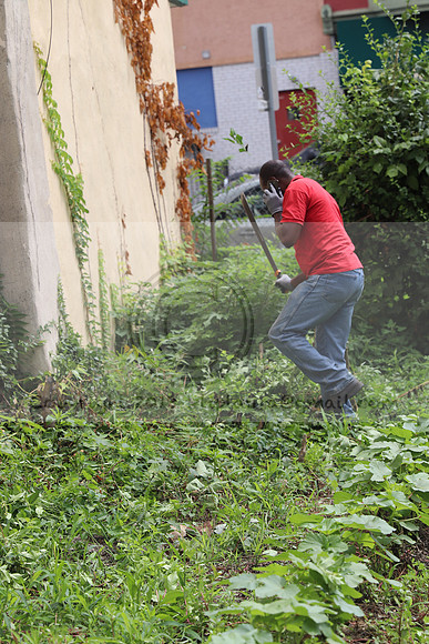 IMG_4290.1226 Community Garden  2b August 8, 2020 @KTIP Laura Elam