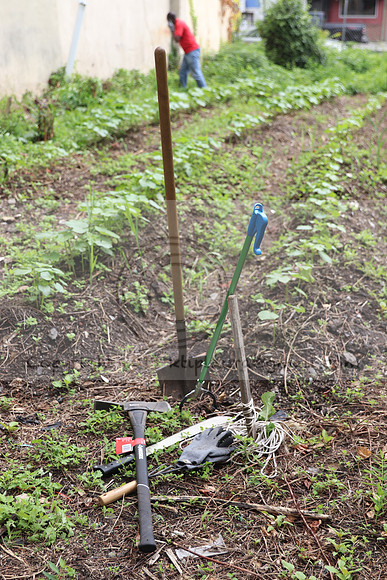 IMG_4265.1226 Community Garden  2b August 8, 2020 @KTIP Laura Elam