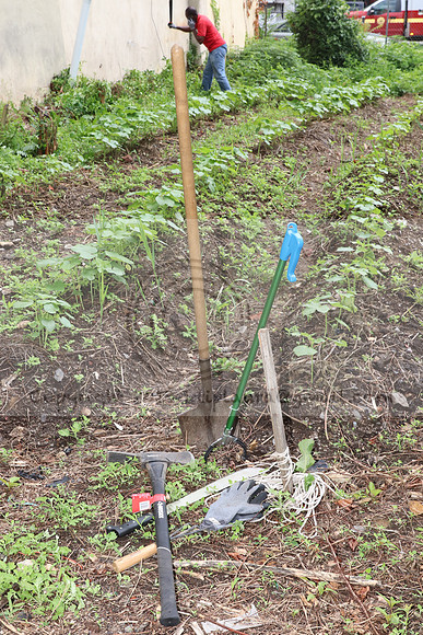 IMG_4264.1226 Community Garden  2b August 8, 2020 @KTIP Laura Elam
