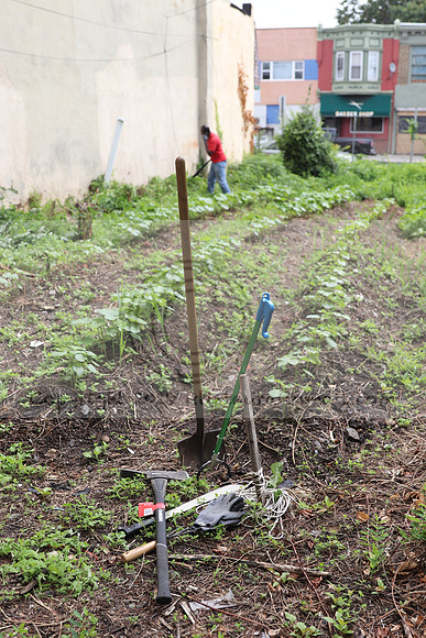 IMG_4263.1226 Community Garden  2b August 8, 2020 @KTIP Laura Elam