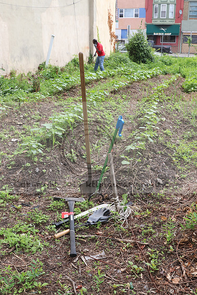 IMG_4262.1226 Community Garden  2b August 8, 2020 @KTIP Laura Elam