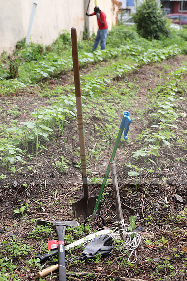 IMG_4261.1226 Community Garden  2b August 8, 2020 @KTIP Laura Elam