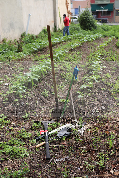IMG_4260.1226 Community Garden  2b August 8, 2020 @KTIP Laura Elam