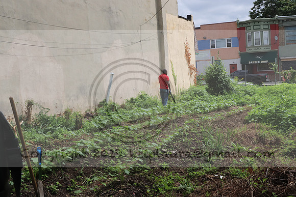 IMG_4255.1226 Community Garden  2b August 8, 2020 @KTIP Laura Elam