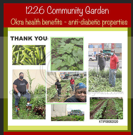 1226 Community Garden 08082020