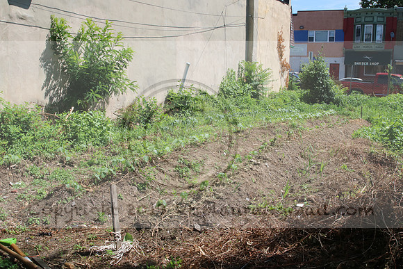 IMG_0376.1226 Community Garden Aug 1  2020 Laura Elam