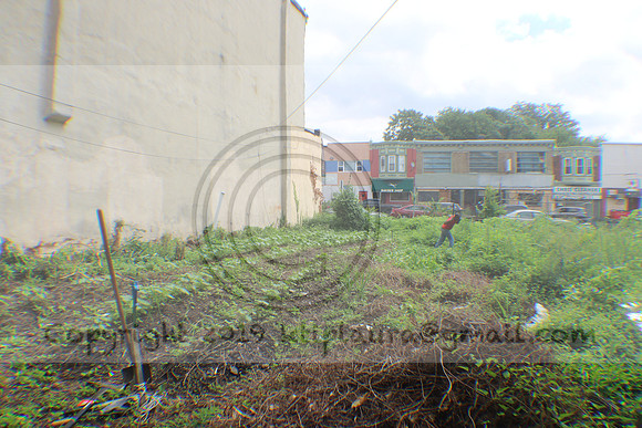 IMG_4343.1226 Community Garden Aug 8  2020 Laura Elam