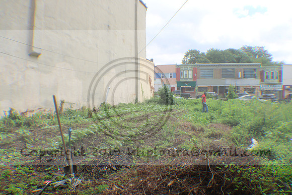 IMG_4341.1226 Community Garden Aug 8  2020 Laura Elam