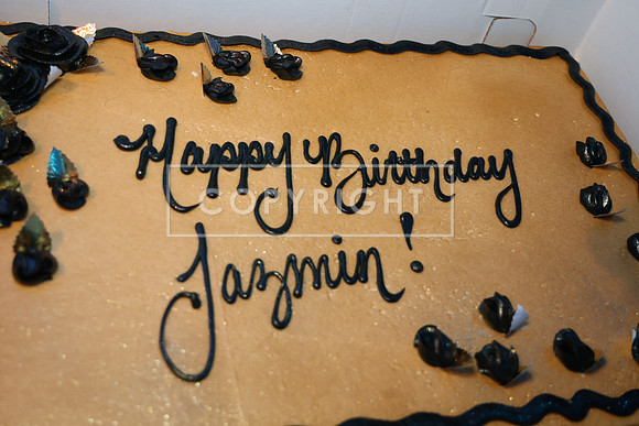 ROSS0013Jazmin Banks Birthday party June 7th birthday June 4 ktiplaura