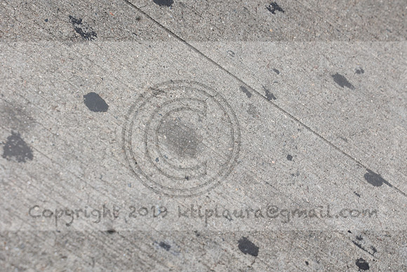 3I7A7691.New York  July 21, 2023  Ktiplaura@gmail.com