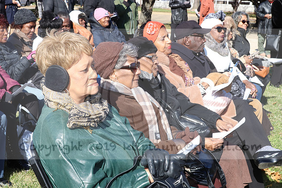 IMG_9026.The Sullivan Way  Nov 2019  LAURA ELAM @ KTIP