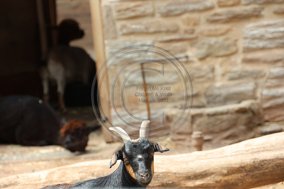 KTIN9359. Philadelphia Zoo 08112024 ktiplaura@gmail.com