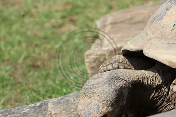 KTIN9376. Philadelphia Zoo 08112024 ktiplaura@gmail.com