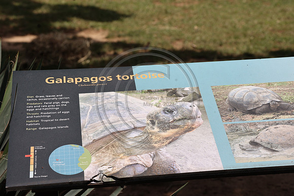 KTIN9391. Philadelphia Zoo 08112024 ktiplaura@gmail.com