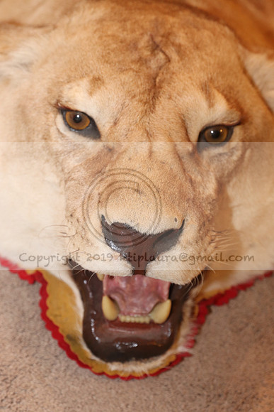 IMG_2380.Torpedopot July 26,2020 @KTIP Laura Elam