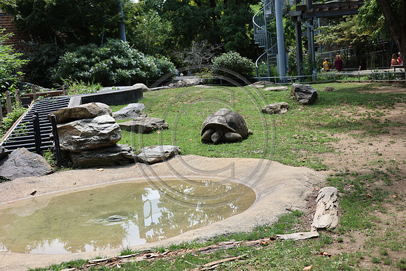KTIN9371. Philadelphia Zoo 08112024 ktiplaura@gmail.com