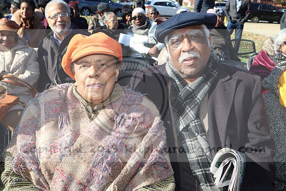 IMG_8986.The Sullivan Way  Nov 2019  LAURA ELAM @ KTIP