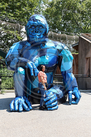 KTIN9421. Philadelphia Zoo 08112024 ktiplaura@gmail.com