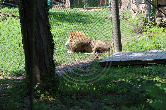 KTIN9462. Philadelphia Zoo 08112024 ktiplaura@gmail.com