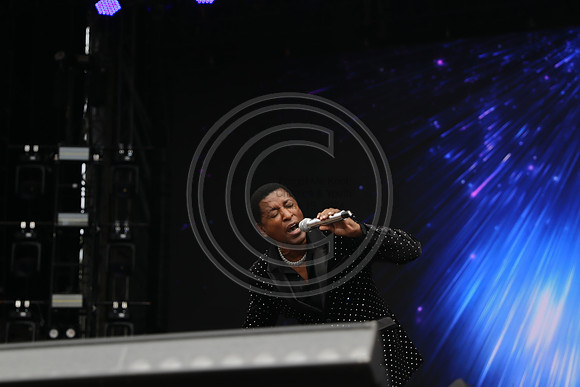 IMG_1087.  ROOTS PICNIC 2024 mylifeourlifestory@gmail.com