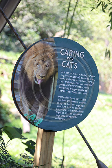 KTIN9528. Philadelphia Zoo 08112024 ktiplaura@gmail.com