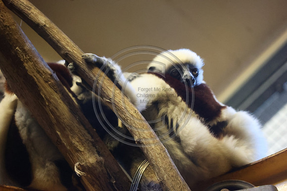 KTIN9439. Philadelphia Zoo 08112024 ktiplaura@gmail.com