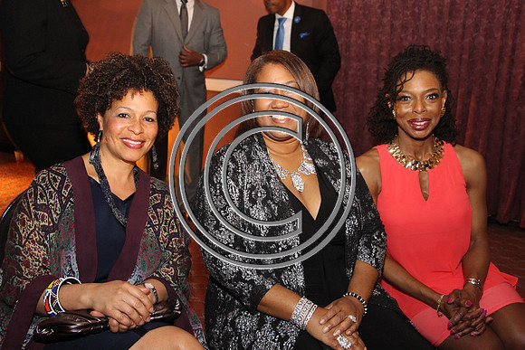 Ducky Birts Foundation Philadelphia 04182015  (188)