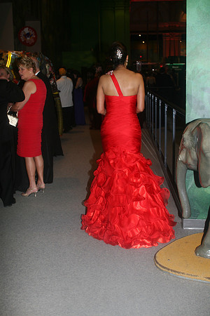 The Red Ball 2012  Lauraelam (250)