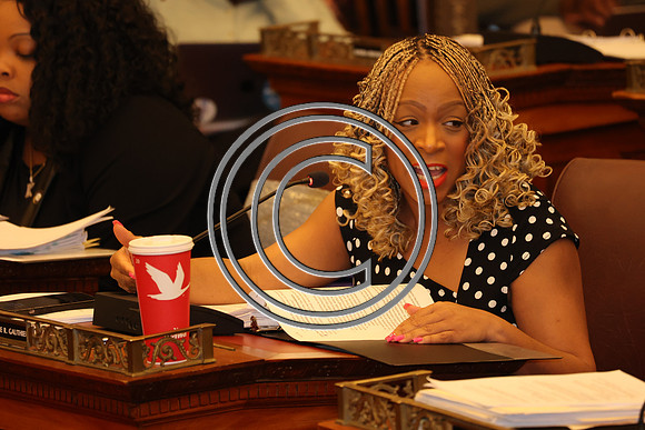 MAHL0593 Dr. Nikia Owens Campaign For Working Families (CWF) City Hall 2025 0326 B KTIPLAURA