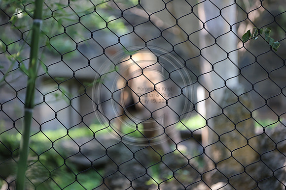 KTIN9501. Philadelphia Zoo 08112024 ktiplaura@gmail.com
