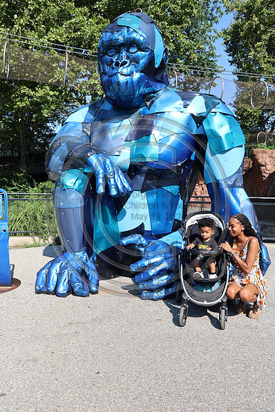 KTIN9633. Philadelphia Zoo 08112024 ktiplaura@gmail.com