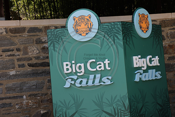 KTIN9450. Philadelphia Zoo 08112024 ktiplaura@gmail.com