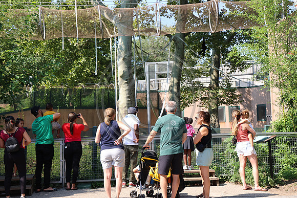 KTIN9619. Philadelphia Zoo 08112024 ktiplaura@gmail.com