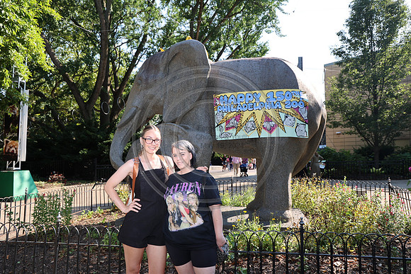 KTIN9674. Philadelphia Zoo 08112024 ktiplaura@gmail.com