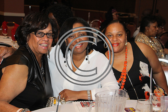 Ducky Birts Foundation Philadelphia 04182015  (138)