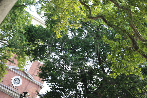 KTIN6867. WAWA American July 4, 2024 Phila KTIP LAURA ELAM
