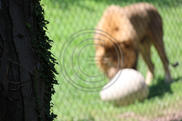 KTIN9484. Philadelphia Zoo 08112024 ktiplaura@gmail.com