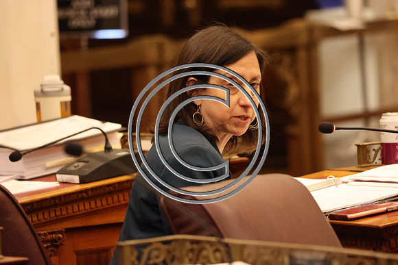 MAHL0632 Dr. Nikia Owens Campaign For Working Families (CWF) City Hall 2025 0326 B KTIPLAURA