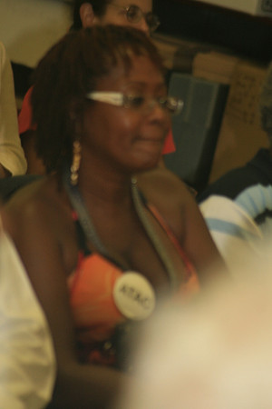 Panel Discussion So Called Controversy At The Presidents HouseSlavery Memorial 06.21 (29)